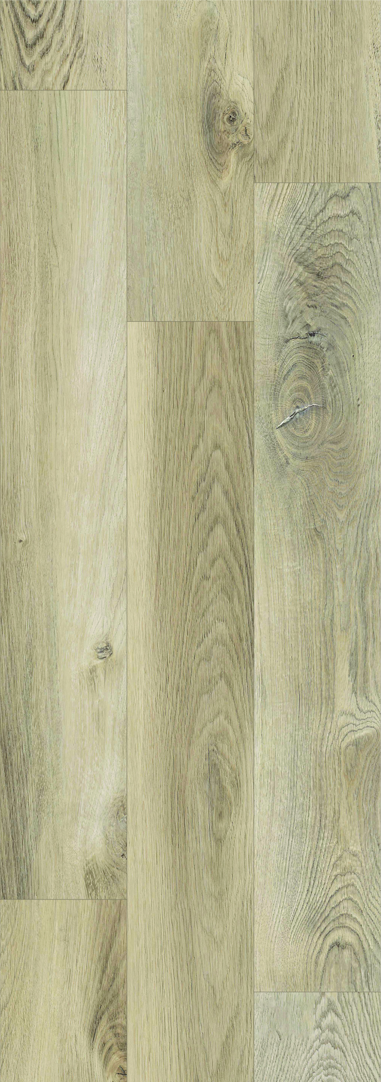 1108-canyon-oak-ash
