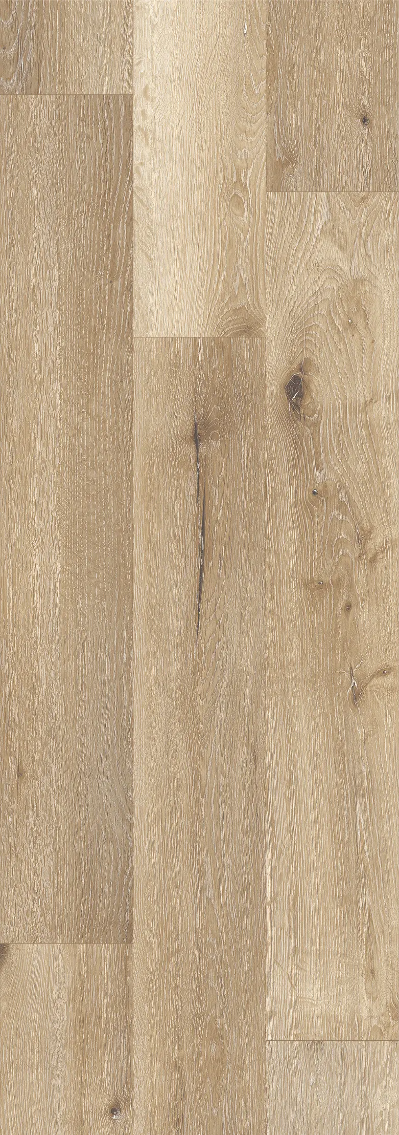 1103-pedy-oak-golden