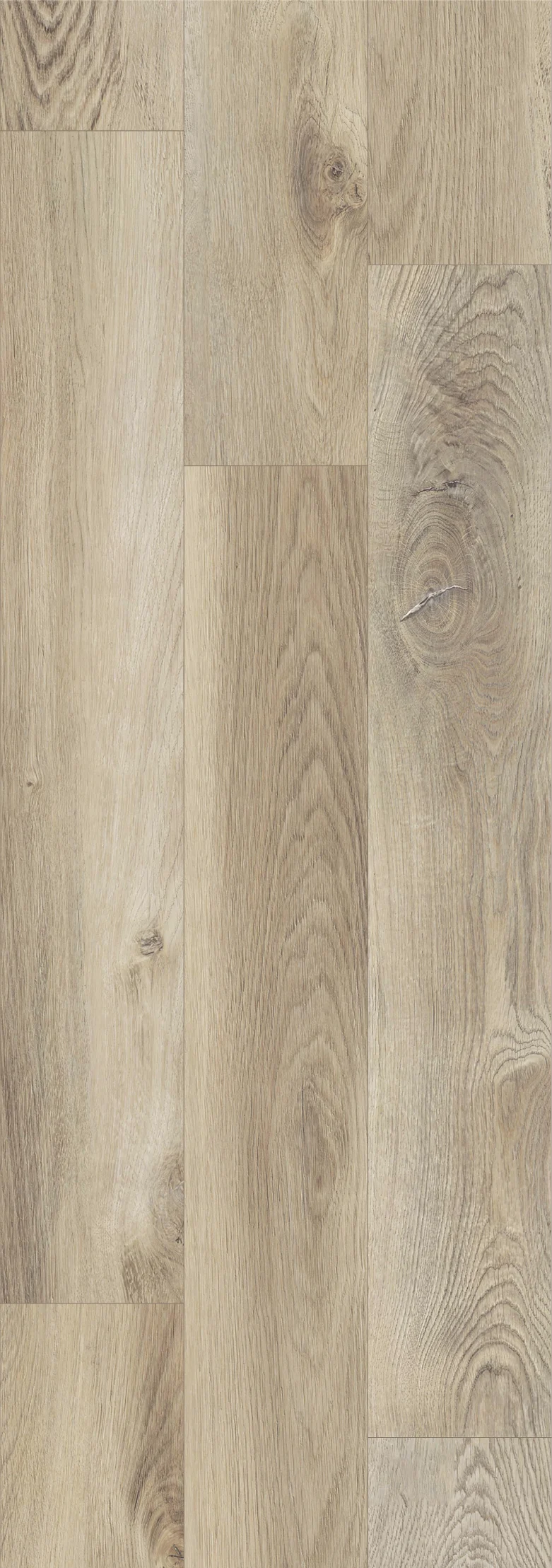 1108-canyon-oak-ash